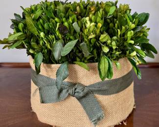 Faux Boxwood Arrangement