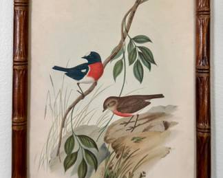 John Gould "Robins" Framed Art