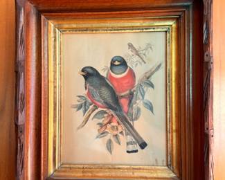 Audubon style bullfinch bird print in carved rustic wood frame