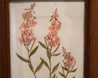 Pink fireweed botanical print in rustic wood frame