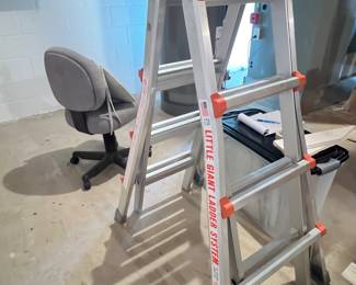 98. Little Giant Ladder