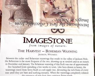 53.Imagestone Bird Plates (8" x 8") Set of 4