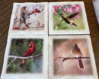 53.Imagestone Bird Plates (8" x 8") Set of 4