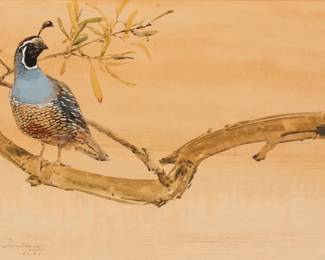 1089 Thomas Quinn (b. 1938) California Quail, 1977 Watercolor and gouache on paperboard Signed and dated lower left: Thomas Quinn / 1977 Sight: 13" H x 22" W Estimate: $1,500 - $2,500