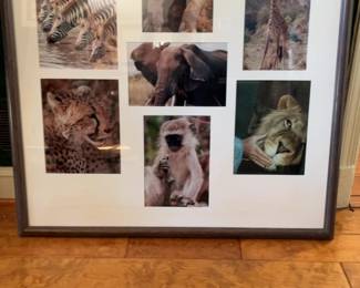 Framed African Wildlife Safari Photo Collage