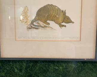 Vintage Armadillo Fine Art Print