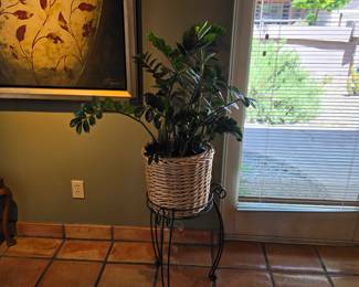Plant in Wicker Basket