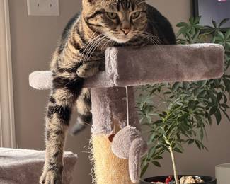 Ruby is not for sale 😝