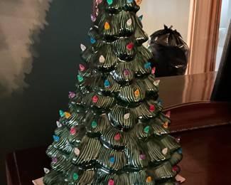 Large tree, there is no base