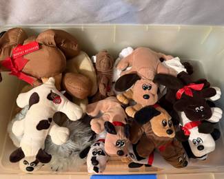 Pound Puppies 