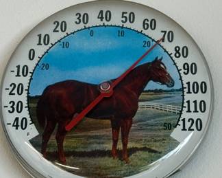 Ohio Dial Thermometer