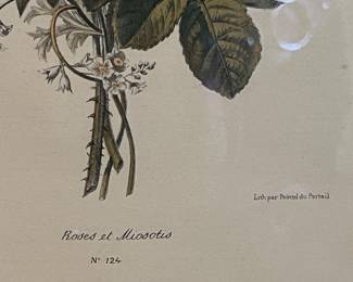 Roses et Miosotis - P.J. Redouté - Published by Ch. Boivin; Lith. by Pointel du Portail