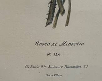 Roses and Forget-me-nots - P.J. Redouté - Roses et Miosotis (Plate No. 124)