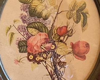 Hand-colored engraving by the legendary Pierre-Joseph Redouté