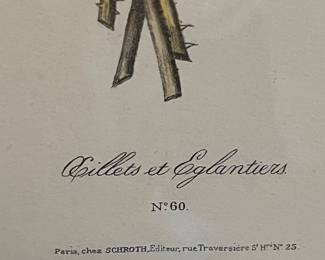 "Œillets et Églantiers": The title of Plate No. 60, meaning "Carnations and Wild Roses."