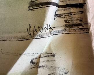 Chicago Artist and Educator Vadna 