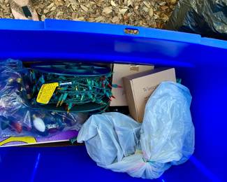 outdoor Christmas lights