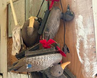 decoy ducks
