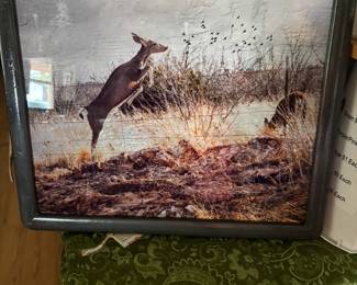 Deer framed photo