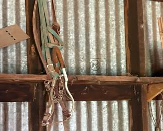 bridle