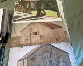 photos
