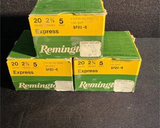 Remington 20G Shells