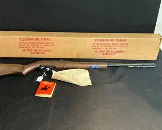 Glenfield Model 60 Semi-Auto Rifle