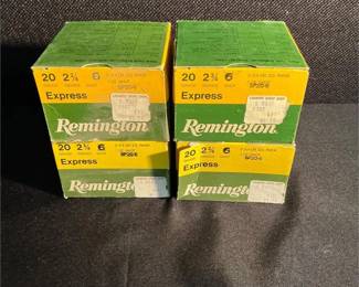 Remington 20G Shells