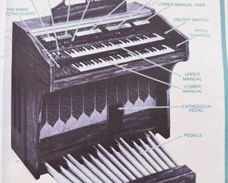 Organ