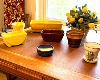 dish gardens and plantes