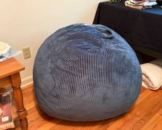unusual seating -- bean bag chair
