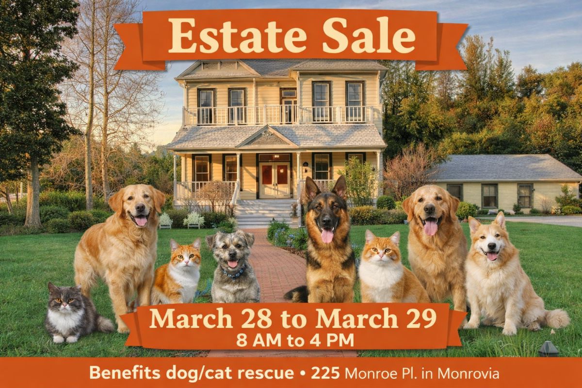 Fundraiser Sale with all Proceeds going to the RESCUE PETS!!!!