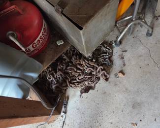 Several chains to choose from