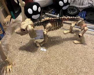 Skeletal wiener dog