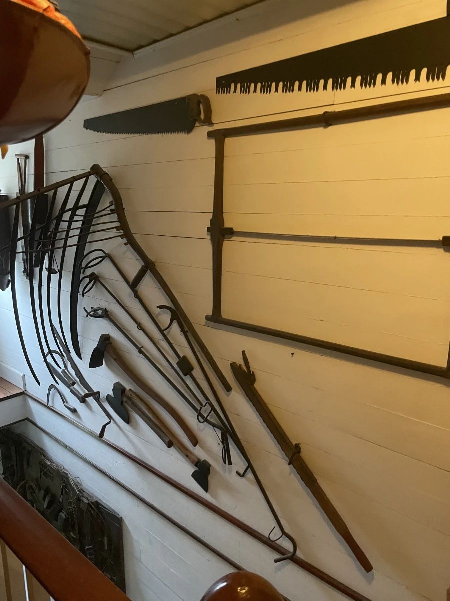 Primitive tools