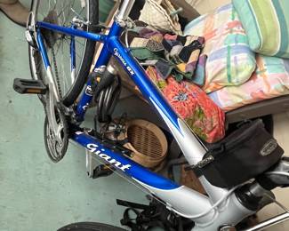 Giant Bike