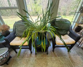 Snake Plant Faux Wicker set