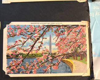 Washington DC Vintage Postcards