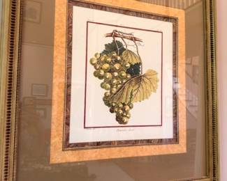 Framed botanical grape print, ornate gold frame, kitchen wall art decor