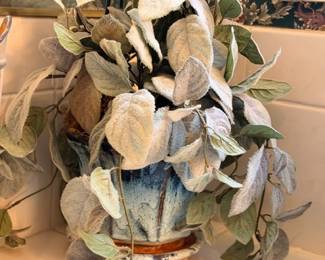 Variegated houseplant in terra cotta pot, green white leaves, indoor plant