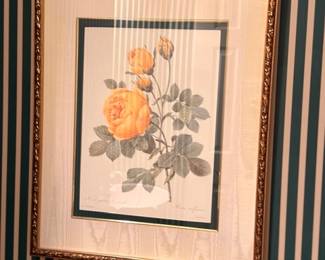 Framed yellow rose botanical print, gold ornate frame, double matted floral wall art
