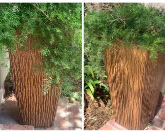 Large matching pots of ferns