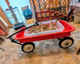 Vintage Red Wagon, many single antlers