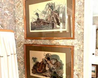 Audubon chromolithographs