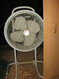 We'll blow you away with this fabulous fan!