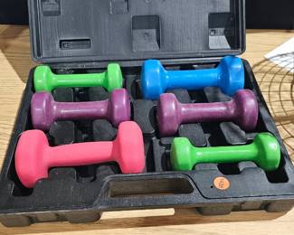 EXERCISE WEIGHTS / CASE