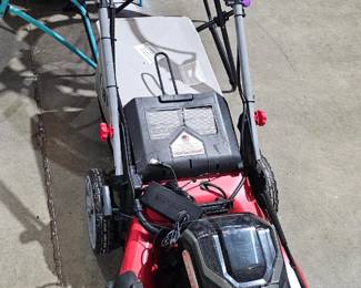 PUSH MOWER