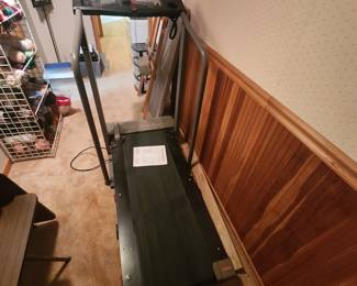 Treadmill (currently in basement but will be moved to garage prior to the sale)