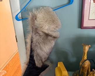 Fur