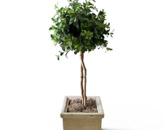 PAIR of faux trees in cement planters